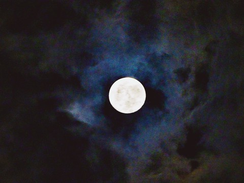 Full Blown Moonlit Madness