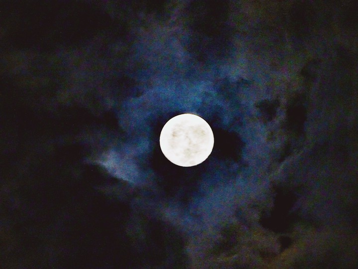 Full Blown Moonlit Madness