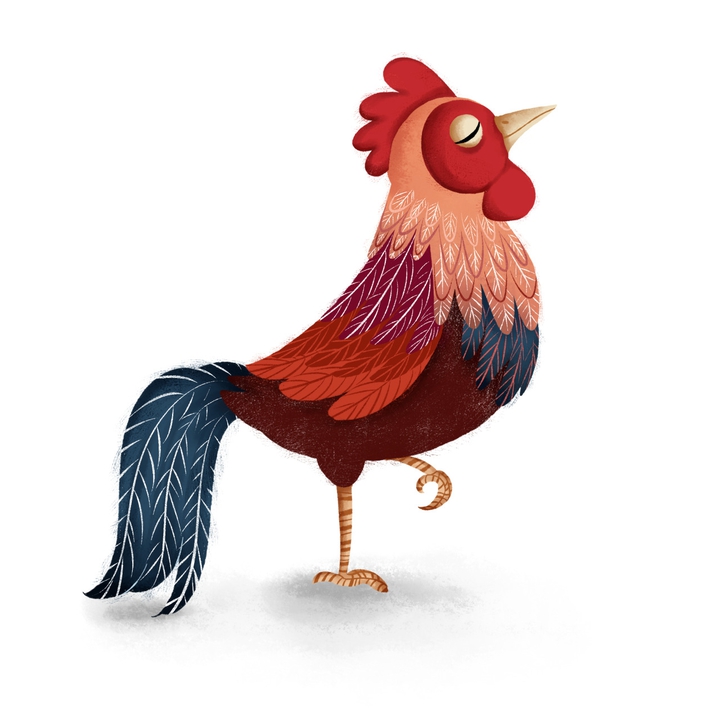cock