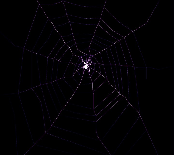 spider