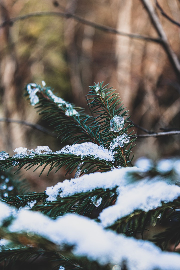 Winter