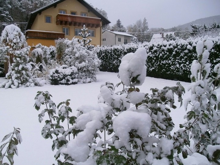 Soft Winter