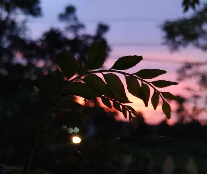 HOPE