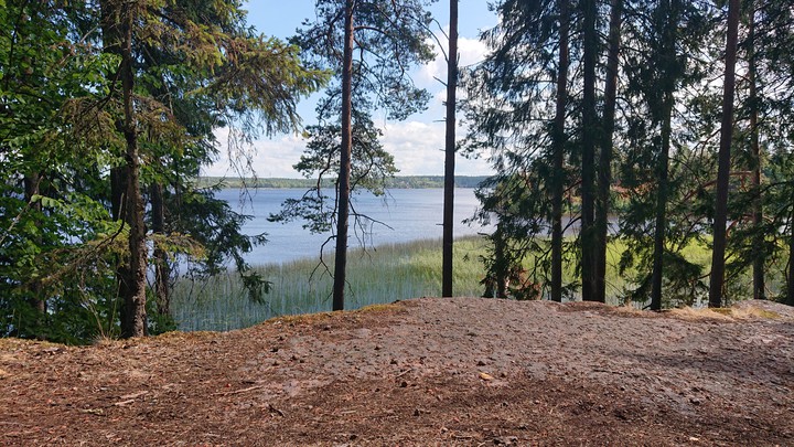 Монрепо