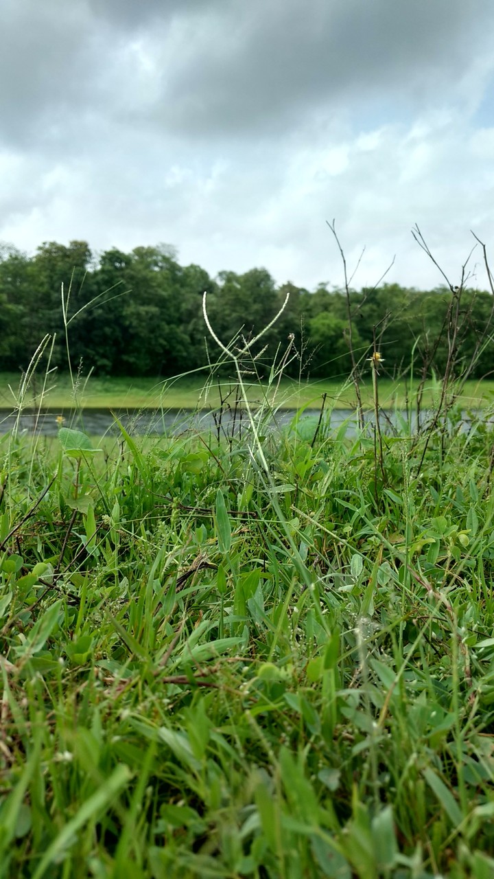 Nature Beauty