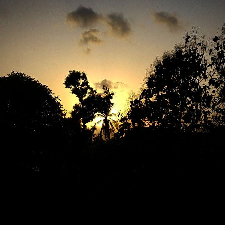 Silhouette