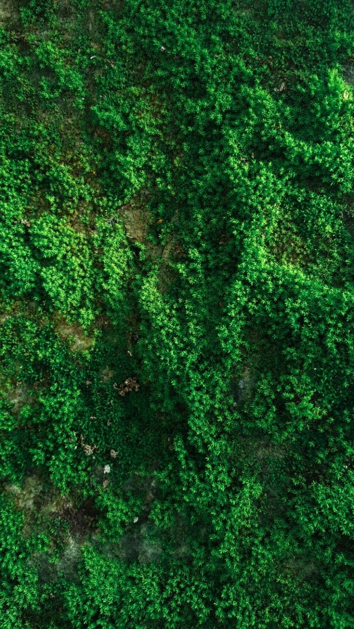 Go Green