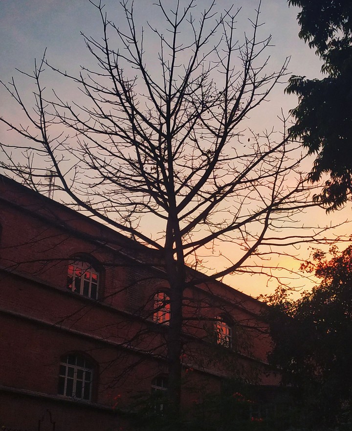 silhouette photography