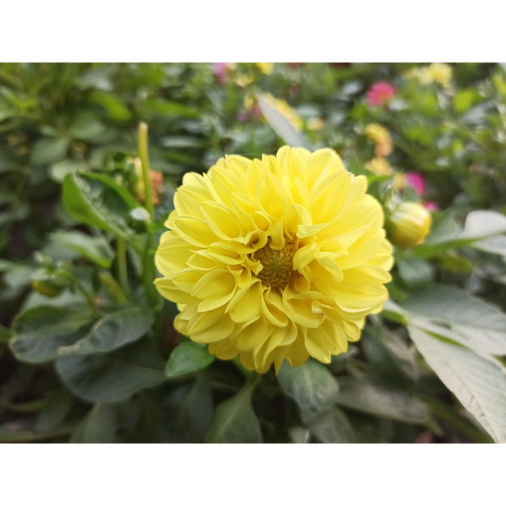 #Україна #літо #summer  2021