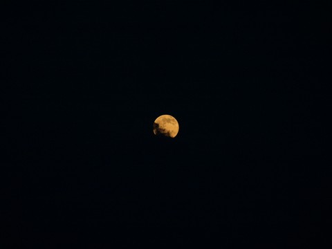 The moon