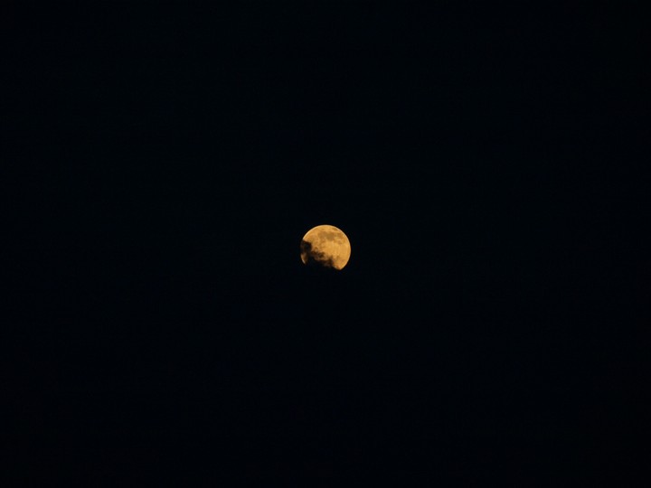 The moon