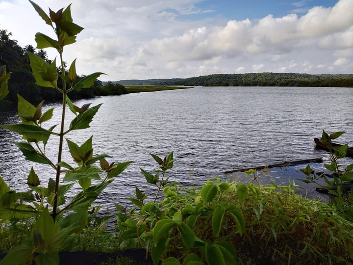 River view