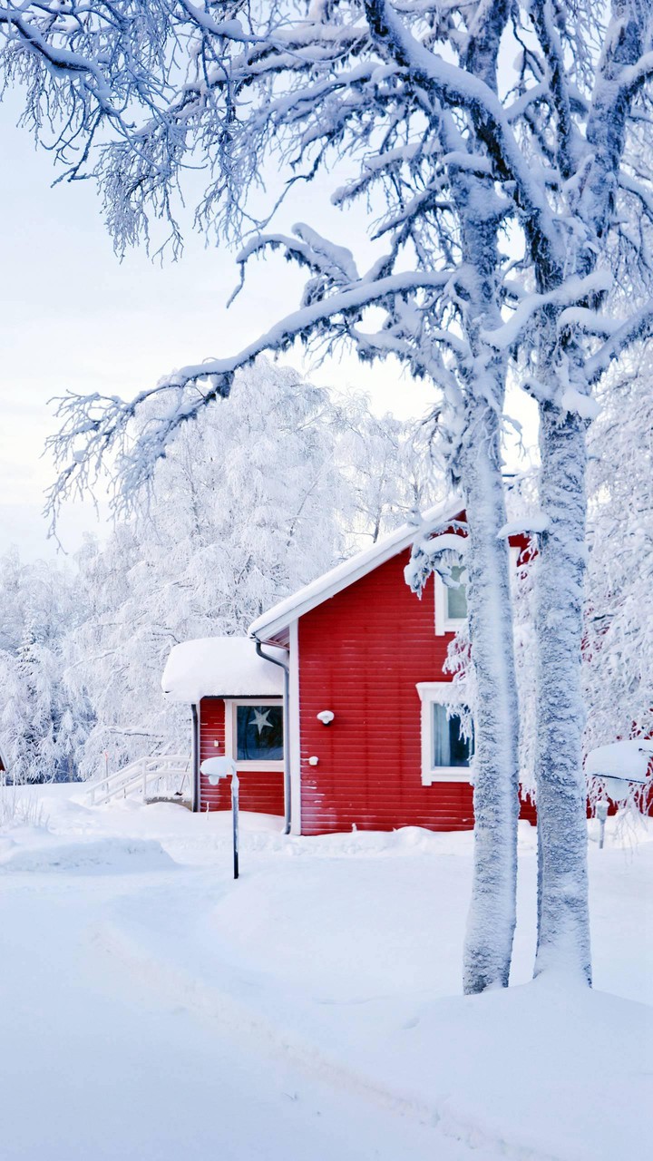winter