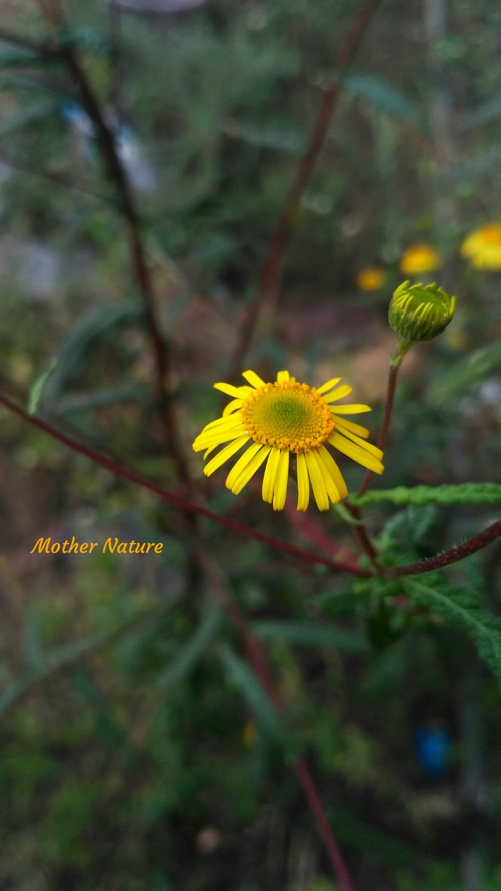keep calm and love nature