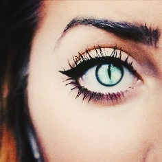 EYE specialist
