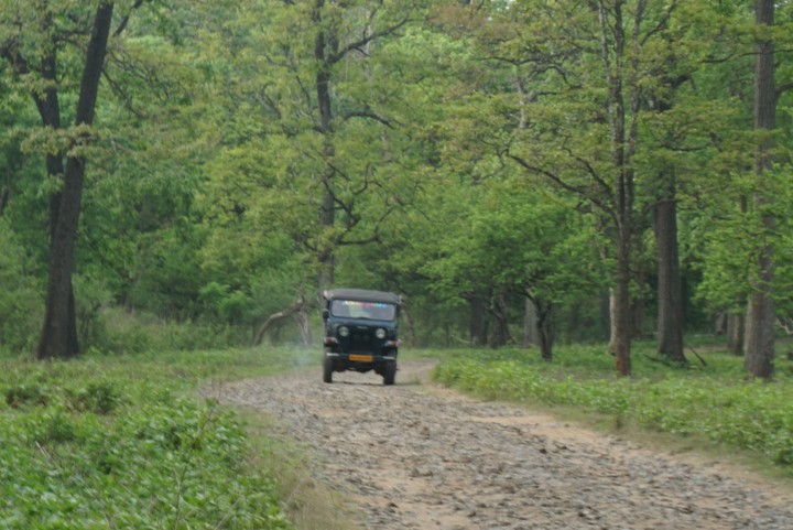coorg wildlife safari