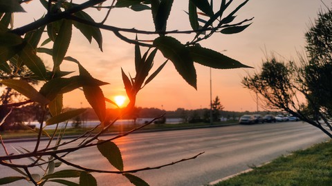 sunset