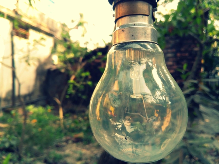 bulb