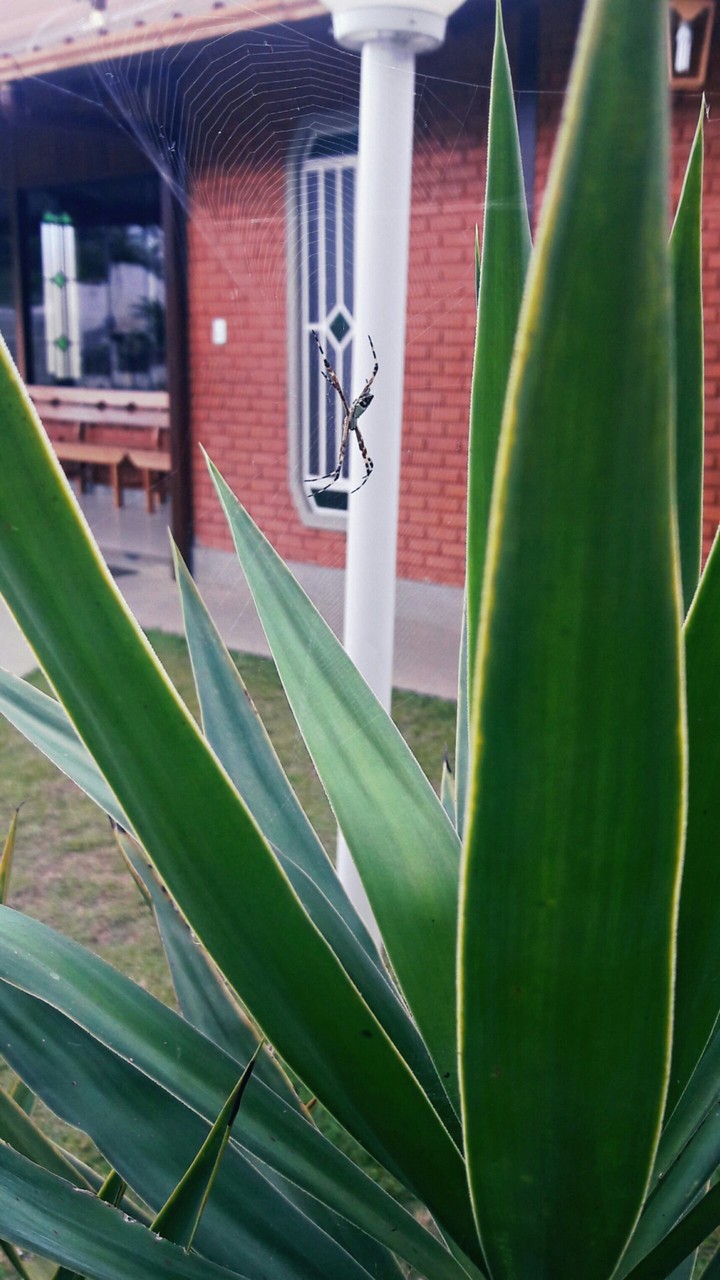 Natureza