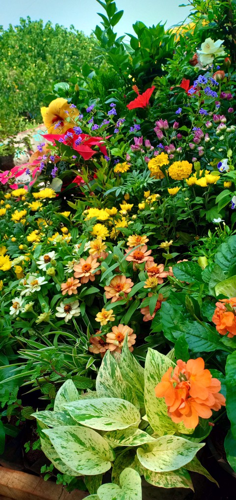 flower wagon