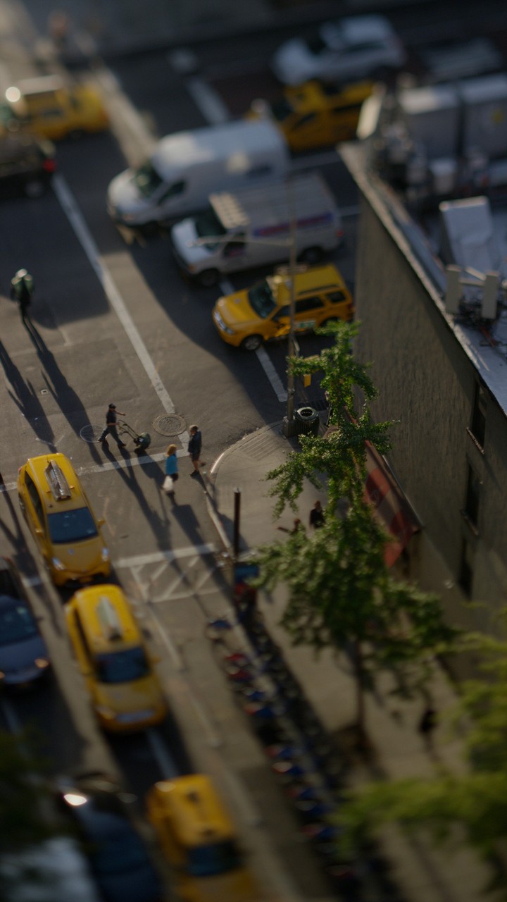[Video Wallpaper] Busy Day