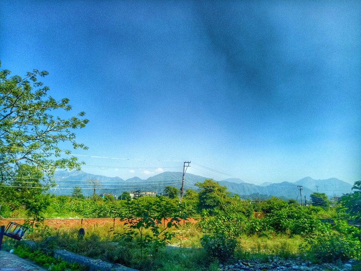 Nature