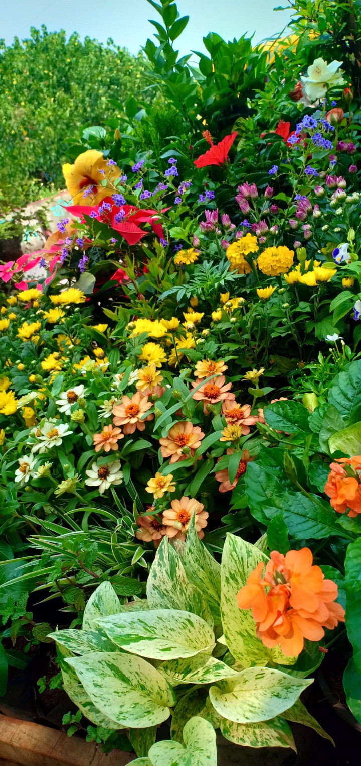 flower wagon