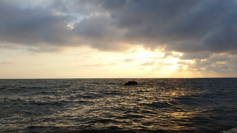Sea