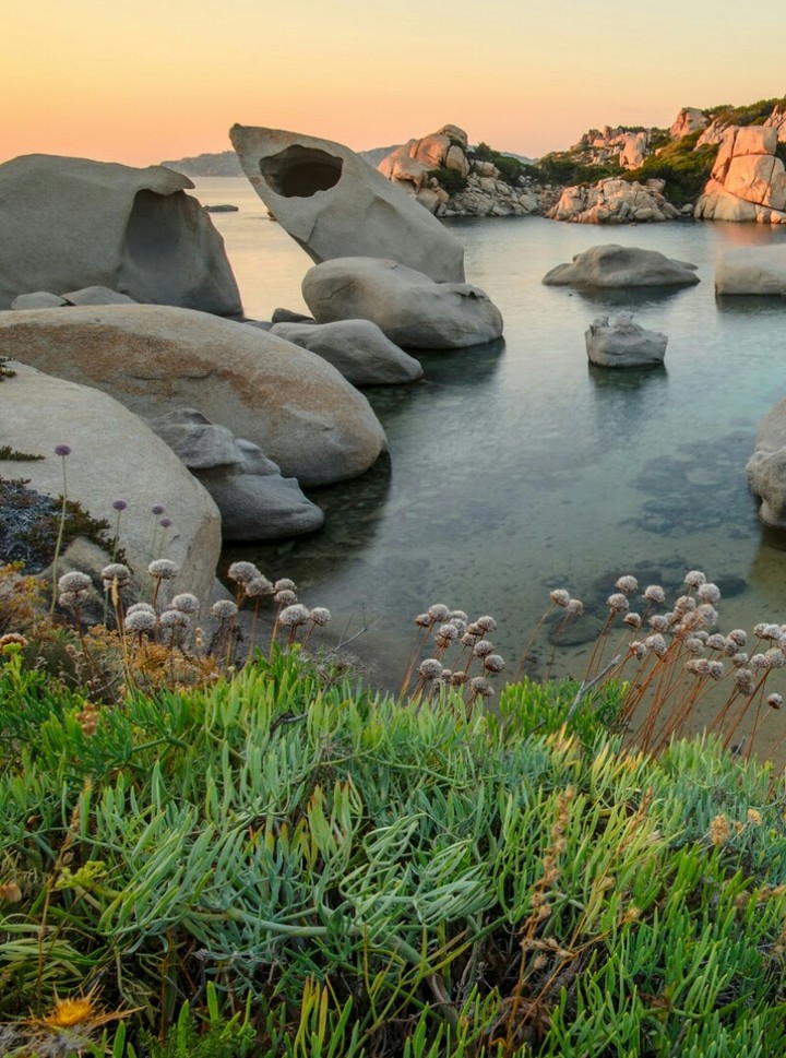 Teich