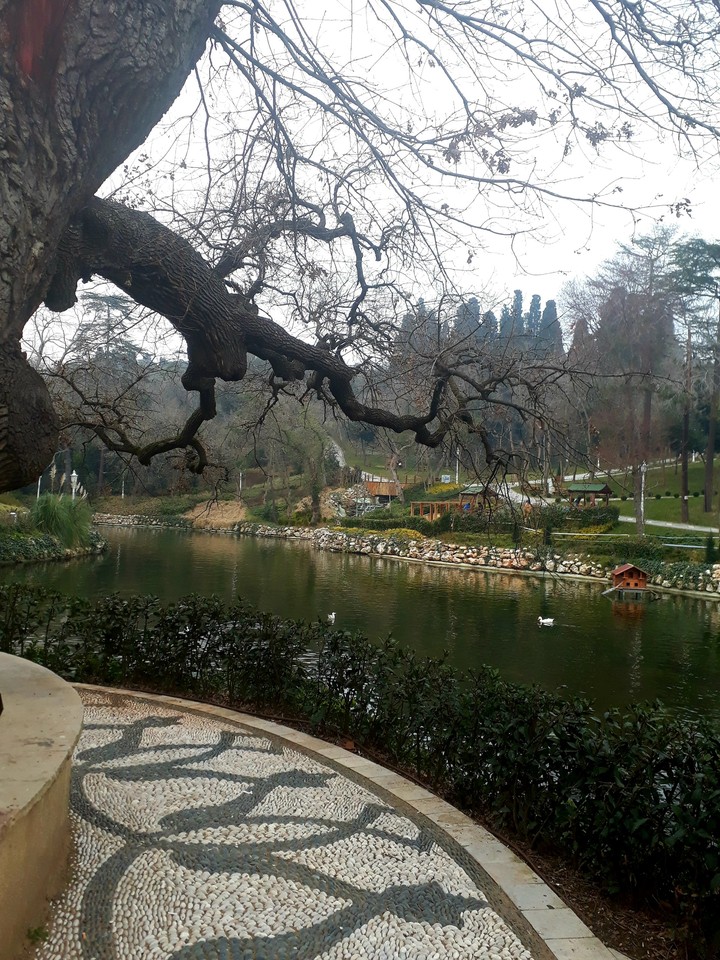 peaceful