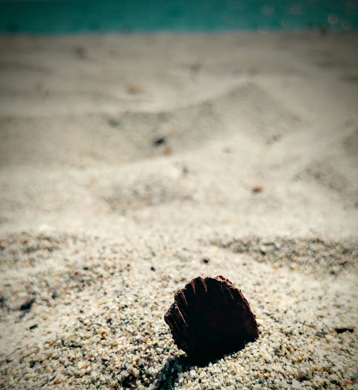 The Sea