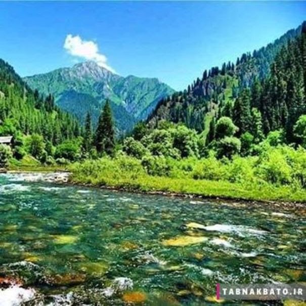 nature