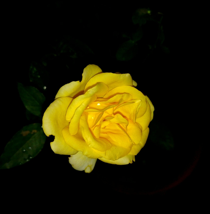night photography
