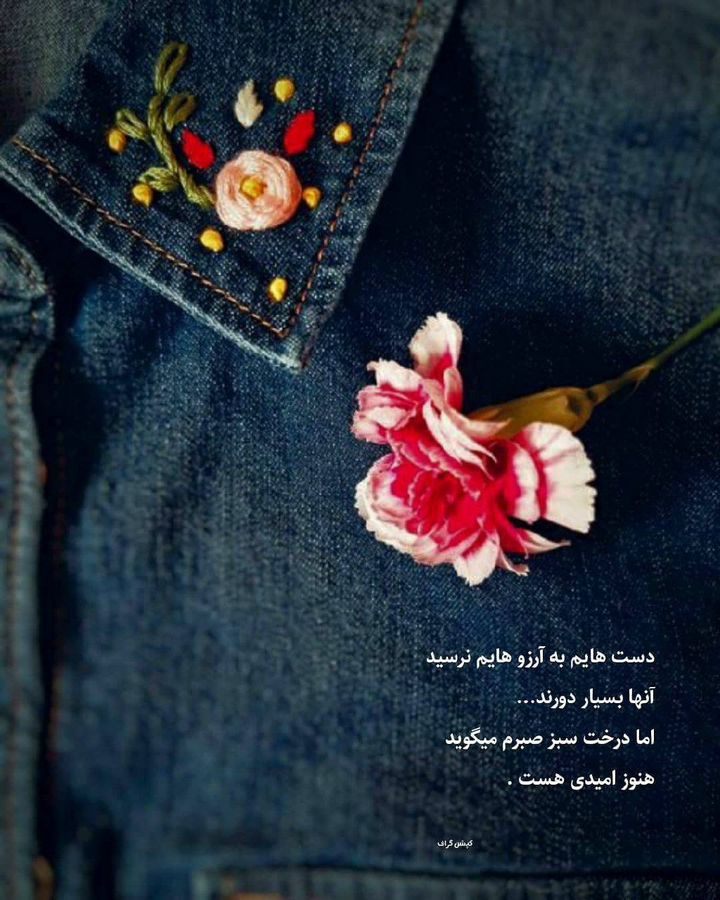 ♡♤