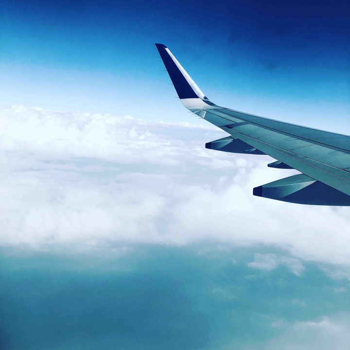 wings
