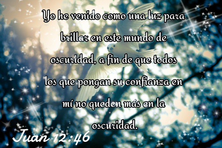Versículo de la Biblia