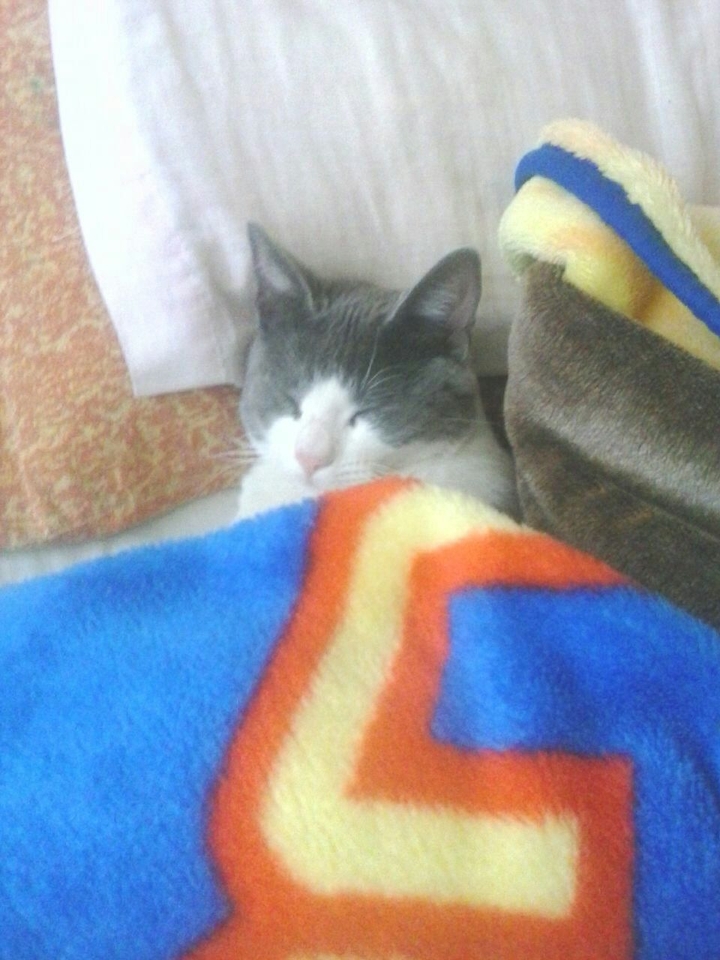 dormir