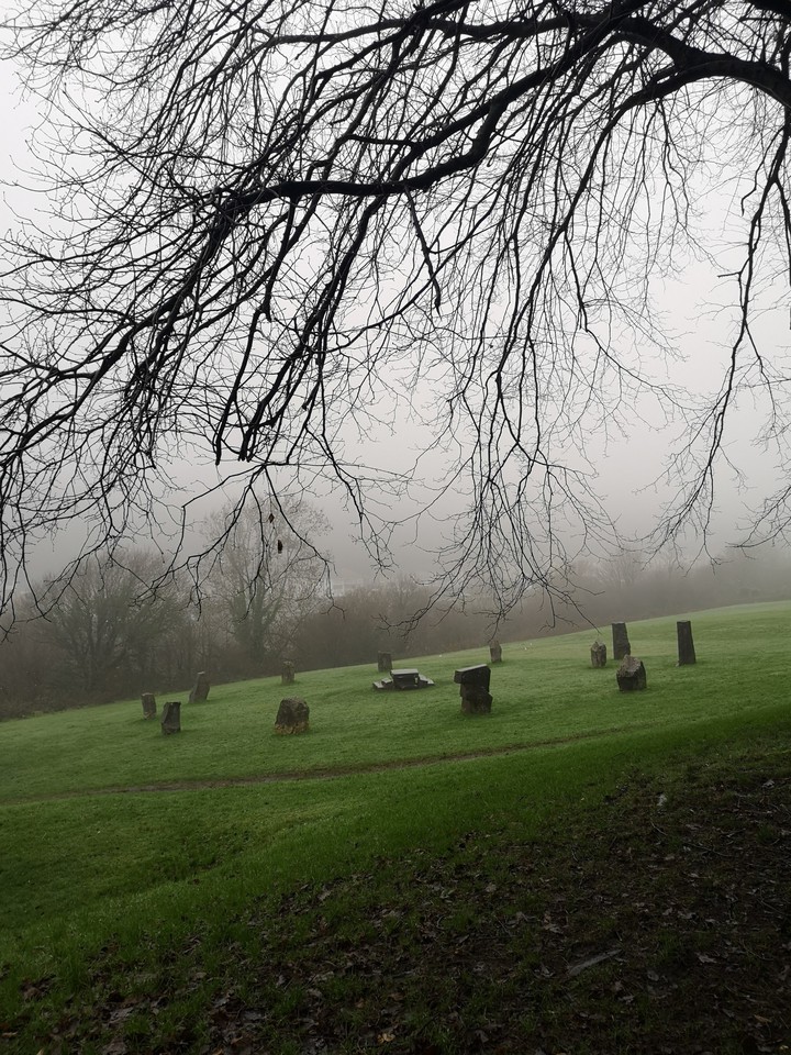 Misty Morning