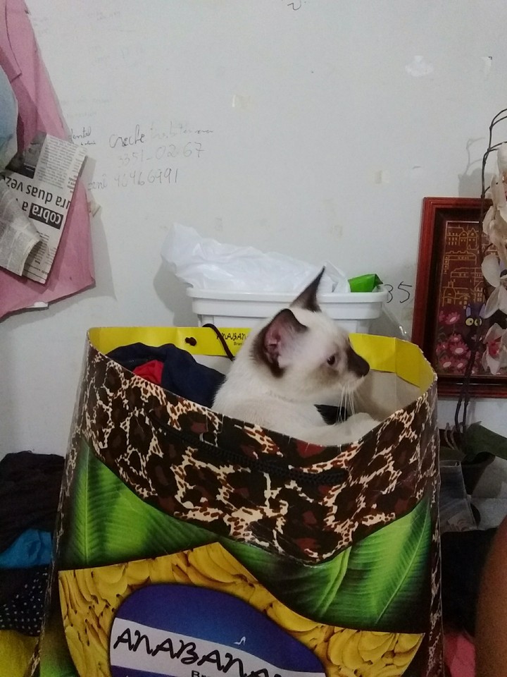 Júlia ♥️