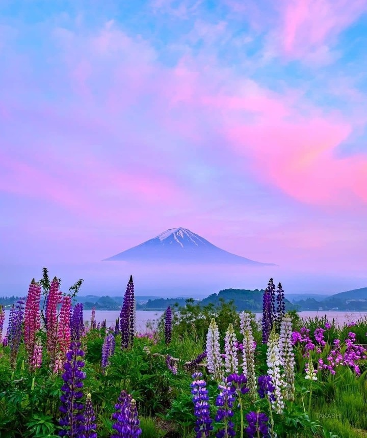 #mountain