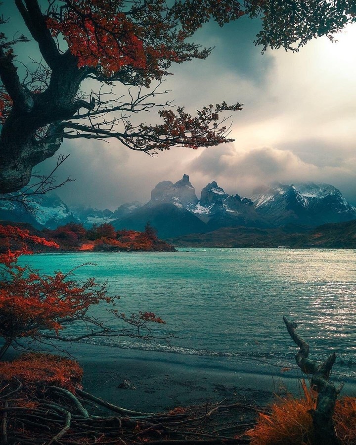 Mystical Nature