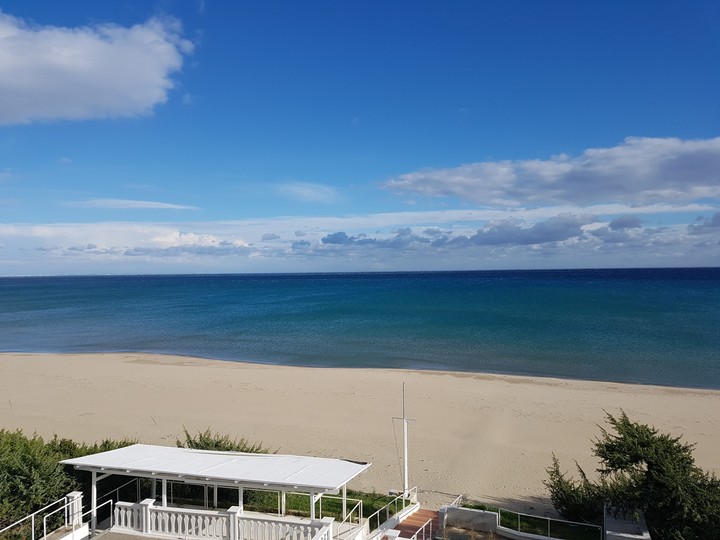 mare