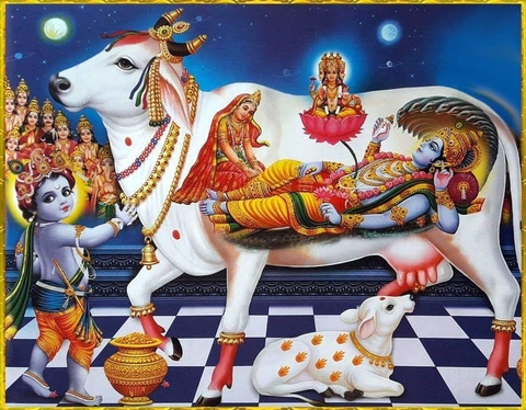 Om Namha Shivaya