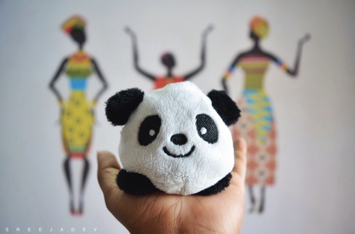 panda 