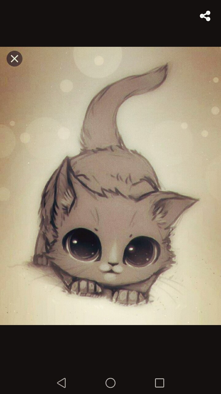 Котя