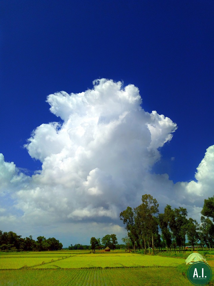 Cloud