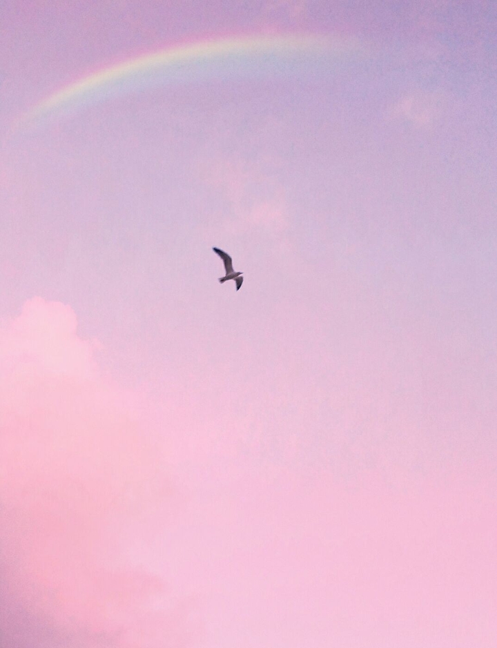 ｡^‿^｡