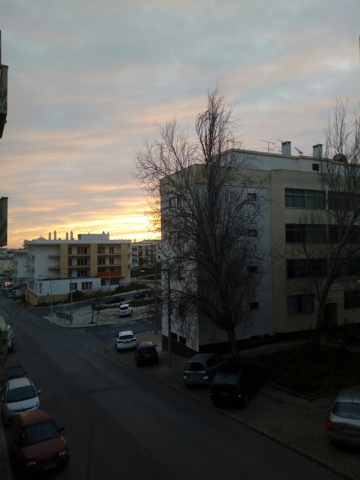 Morning