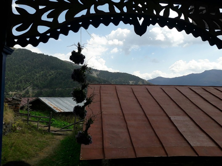 roofs