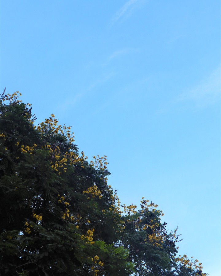 Goodbye summer